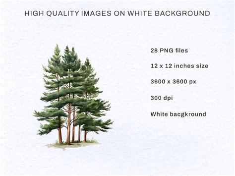 Evergreen Tree, Watercolor Clipart, Nursery Wall Art, AI Generated Art ...