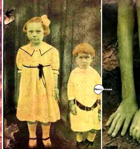 El misterio de los Niños Verdes de Woolpit Inglaterra y que dijeron