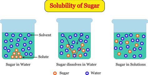 Solubility In Water