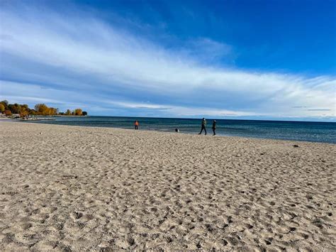 18 Things To Do In The Beaches Neighbourhood From A Local