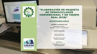 Grupo A Termociclador Convencional Y En Tiempo Real Pdf Descarga