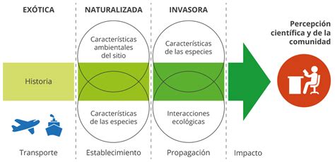 Qu Son Las Ib Laboratorio De Invasiones Biol Gicas Lib