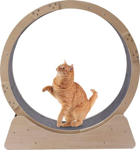 Miumaeov Cat Exercise Wheel Cat Wheel Exerciser For Indoor Cats Cat