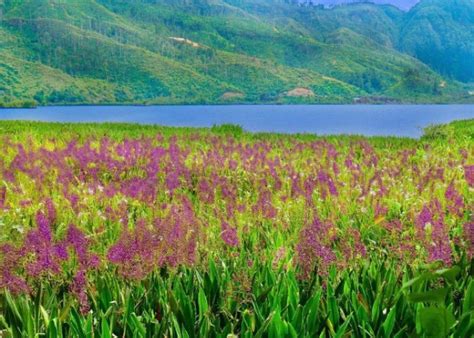 Nabung Yuk Buat Healing Ke Toraja Inilah Keindahan Wisata Yang Di