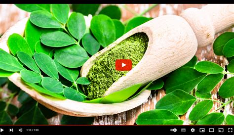 The Miraculous Powers Of Moringa Your Ultimate Guide To Health