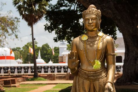 Male Likeness Sri Lanka Nature Anuradhapura Tree Belief Place Of