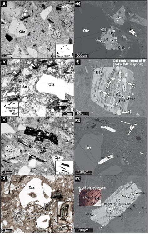 Photomicrographs A D And BSE Images E H Showing The Characteristic