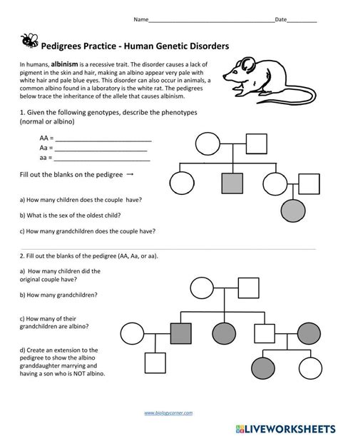 Pedigree Charts Worksheet Sixth Grade Science Twinkl Usa Worksheets Library