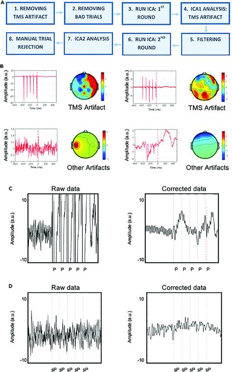 TMS Artifact Correction Procedure Related To STAR Methods A EEG Data