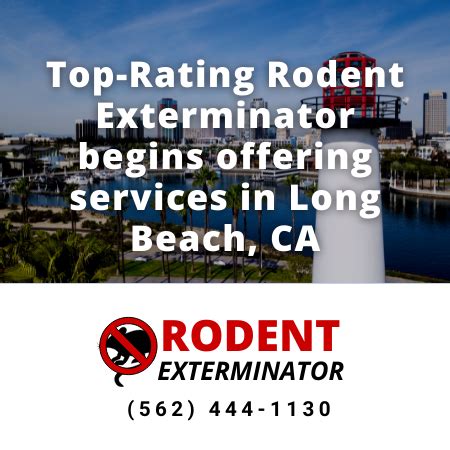 Top Rodent Exterminator Offering Services Now In The Long Beach Area