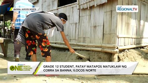 One North Central Luzon Grade Student Patay Sa Tuklaw Ng Cobra