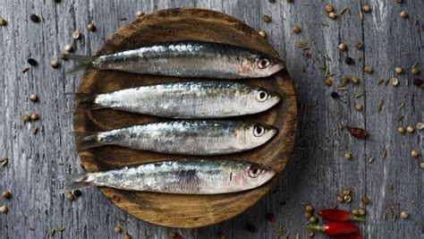 Beneficios De Las Sardinas Y C Mo Diferenciar Las Que Est N En Buen Estado