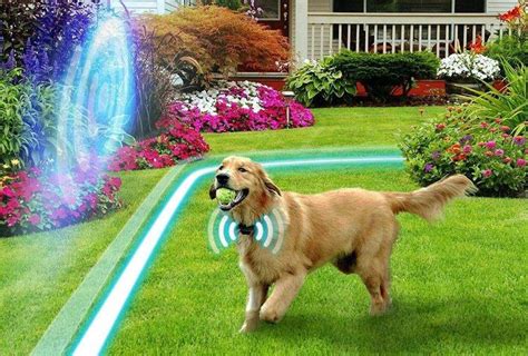 BuddyGate Invisible Dog Fence, Electric Wireless Dog Fence with Collars ...