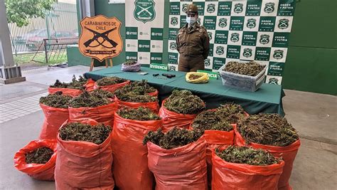 El Carmen Carabineros Del Os Uble Incaut Millones De Pesos En