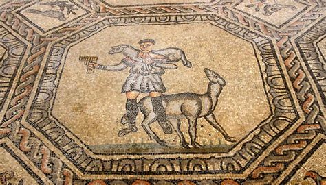 Basilica Di Aquileia La Storia L Area Archeologica E I Mosaici