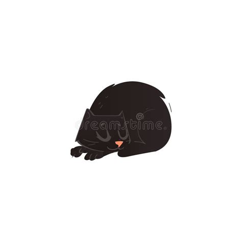 Cute Curled Up Cat Sleeping Stock Illustrations 114 Cute Curled Up Cat Sleeping Stock