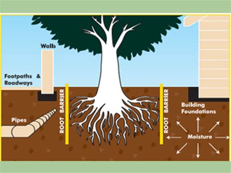 Prevent Tree Damage With Root Barrier™ Project Ods