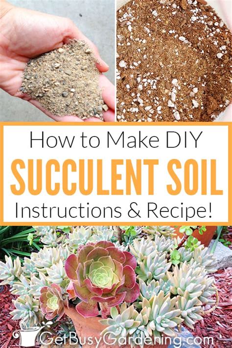 How To Make Your Own Succulent Soil (With Recipe!) - Get Busy Gardening