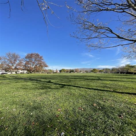 meadow view park petaluma