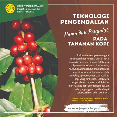 Info Teknologi Cara Jitu Atasi Hama Dan Penyakit Tanaman Kopi