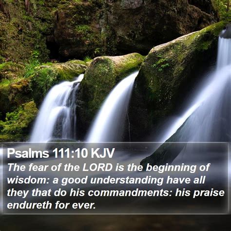 Psalms 111 Scripture Images - Psalms Chapter 111 KJV Bible Verse Pictures