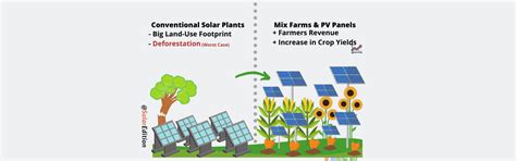 Agrivoltaics Or Agrophotovoltaics An Introduction To A Solution On Land Use Footprint Solar