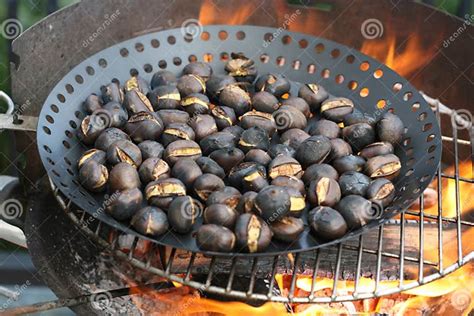 Roasting chestnuts stock photo. Image of nature, domestic - 1377694