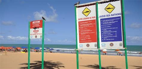 Tubar O Em Recife Surfistas Relatam Terror Por Novos Ataques