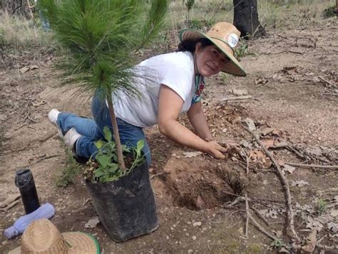 Continúa en Tlajomulco proyecto de reforestación más grande de la historia