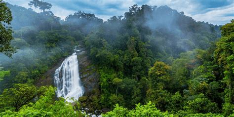 Top 8 Munnar Waterfalls | Munnar Insider Travel Blog