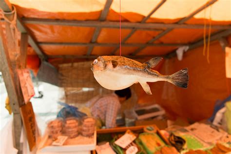 Are You Brave Enough To Try The Worlds Most Disgusting Dishes