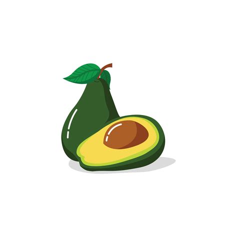 Avocado Vector Illustration 18769443 Vector Art At Vecteezy