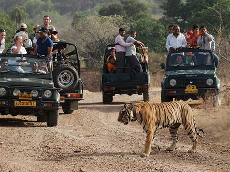 Golden Triangle Tour with Ranthambore Package | 8 Days Tour Package