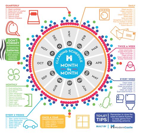 Ultimate Year-Round Cleaning Schedule | Daily Infographic