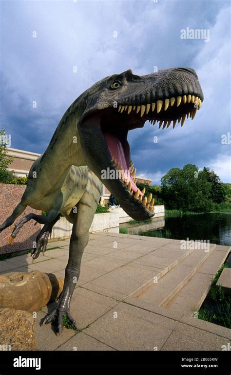 Estatua De Dinosaurio Albertosaurus Fotografías E Imágenes De Alta Resolución Alamy