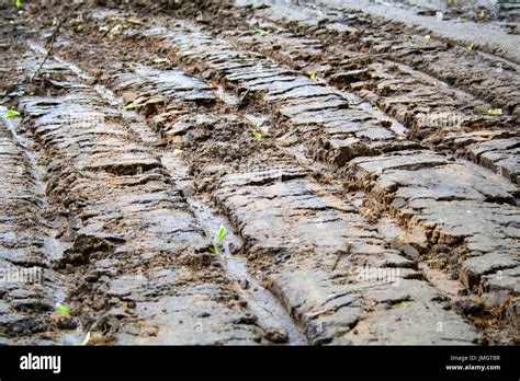 Mud Field Wet Hi Res Stock Photography And Images Alamy