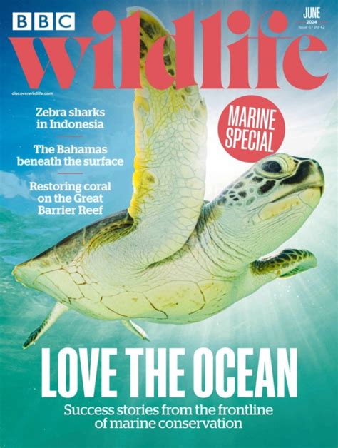 Bbc Wildlife Magazine June 2024 Issue 517 Mags Direct