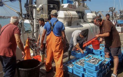 LUE confirme la fin de laccord de pêche avec le Maroc