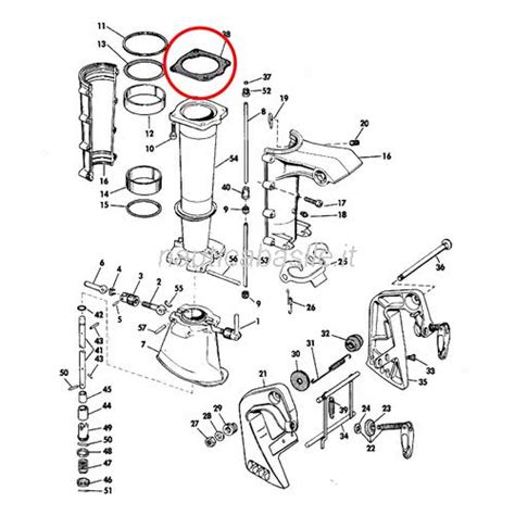 Guarnizione Evinrude Johnson Brp Brp Evinru Nautica Basile