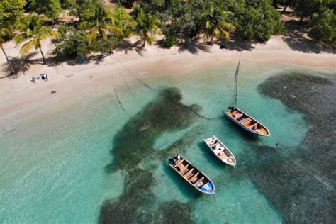 Les Meilleurs Rhums De Guadeloupe Le Meilleur Rhum Du Monde