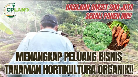 Menangkap Peluang Bisnis Tanaman Hortikultura Organik Untuk Petani