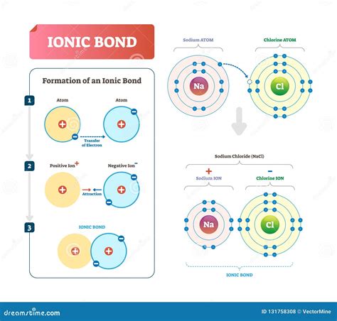 Ionic Bond Labeled Diagram With Formation Explanation Coloso