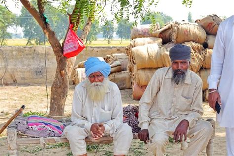 Punjab Culture Day – The Zeal and Zest of Punjabi Culture Day ...