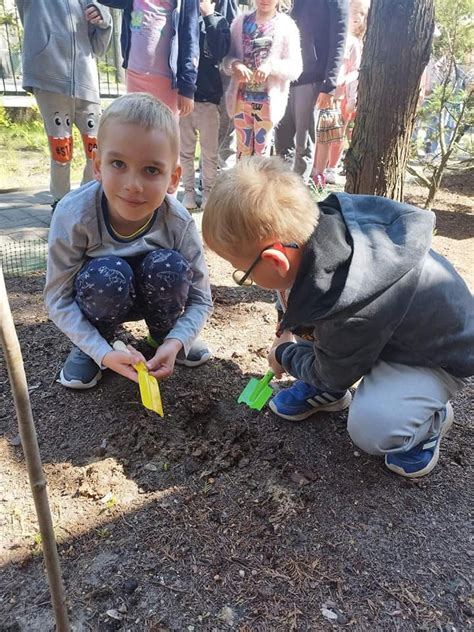 Wi To Polskiej Niezapominajki Przedszkole Samorz Dowe Nr