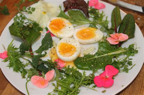 Boiled Eggs with January Salad - A PERFECT ENGLISH Plateful