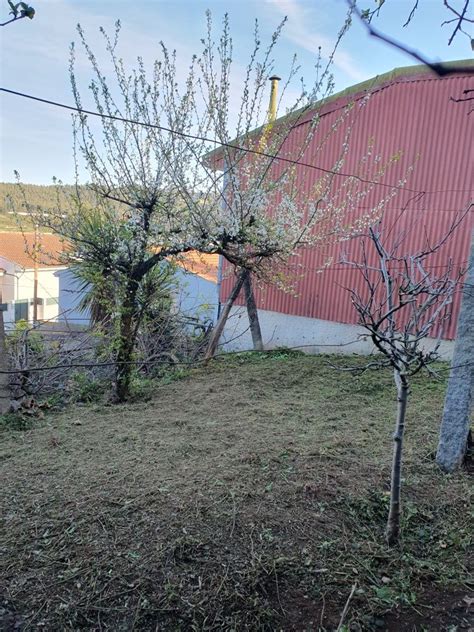 Terreno Urbano Em Alfena Valongo Olx Portugal