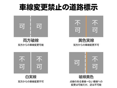 センターラインって色々あるけどどう違うの？過失割合にどんな影響がある？ 交通事故示談交渉の森