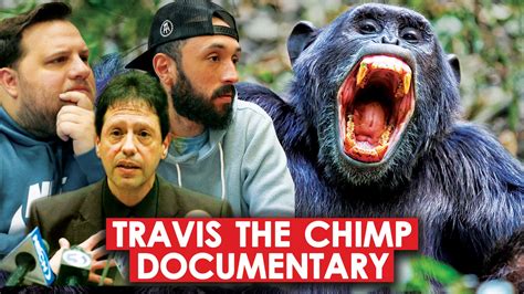 Brutal Chimpanzee Attack and The Cop That Intervened | The Story of ...