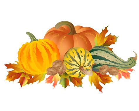 Fall Svg Autumn Svg Pumpkin Svg Fall Svg Designs Svg Files - Etsy