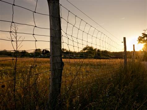 Free Images Tree Nature Grass Light Fence Barbed Wire Post